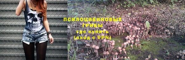 mix Козельск