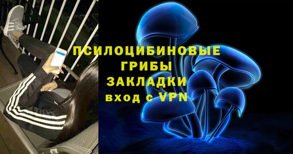 мяу мяу мука Корсаков